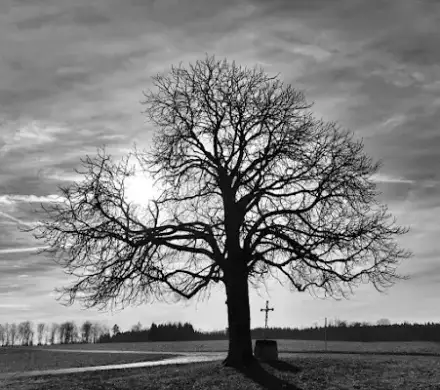 Foto von Schaz Bestattungen