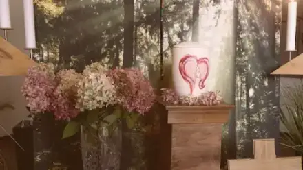 Foto von Schneider Bestattungen