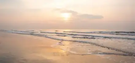 Foto von Schreinerei und Beerdigungsinstitut Paul Rack