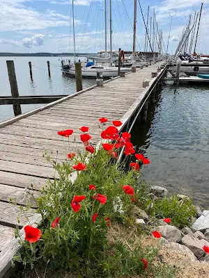 Foto von Seebestattung Krummin