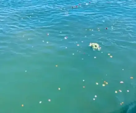 Foto von Seebestattung Usedom