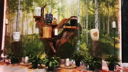 Foto von Seestern Bestattungen