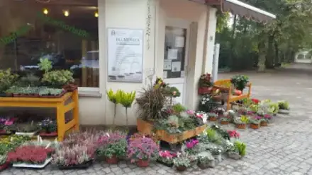 Foto von Städtisches Bestattungswesen Leipzig - Blumeneck