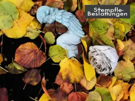 Foto von STEMPFLE-Bestattungen