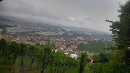 Foto von Stuttgarter Bestattungs-Unternehmen Walter Haas