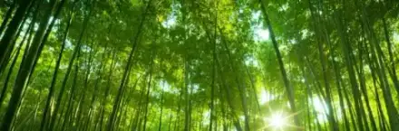 Foto von Tesche & Kühn Bestattungen Potsdam Groß Glienicke