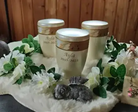 Foto von Tierbestattung Andersson