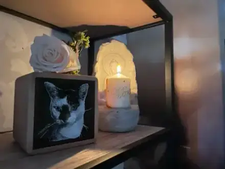 Foto von Tierbestattung Bleibler