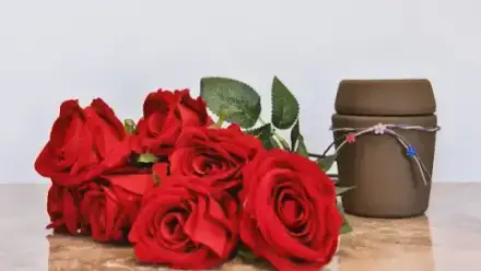 Foto von Tierbestattung Canina (ehemals Tierbestattung Volz Karlsruhe)