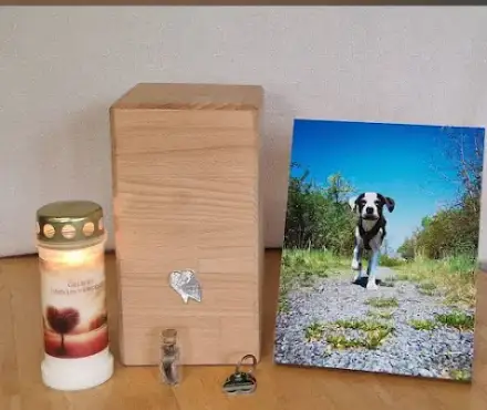 Foto von Tierbestattung-Fischer