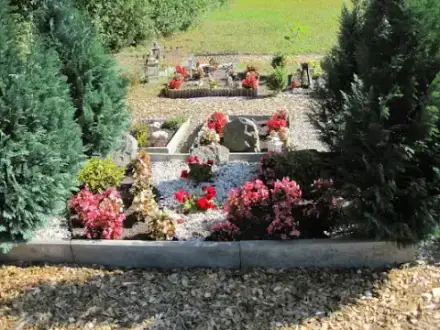 Foto von Tierbestattung in MV - Bestattungen & Kremierungen