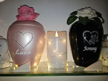 Foto von Tierbestattung Merz