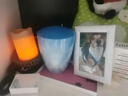 Foto von Tierbestattung Werratal