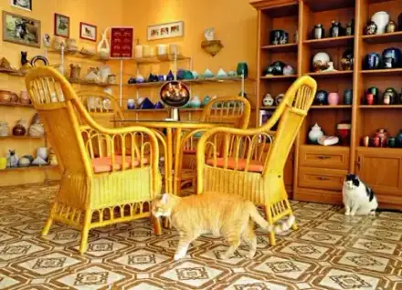 Foto von Tierbestattungen - Berlin - Pankow - Prenzlauer Promenade