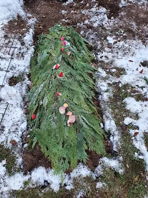 Foto von Tierfriedhof "Am Vogelsang"