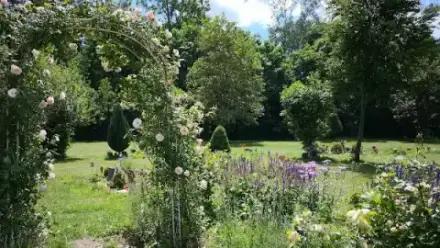 Foto von Tierfriedhof Stuttgart