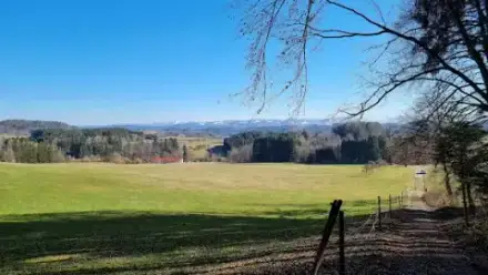 Foto von Tierruhe Eichholz Oberschwaben - Bestattungswald für Haustiere