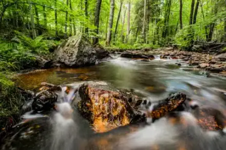 Foto von Trauerhilfe GmbH