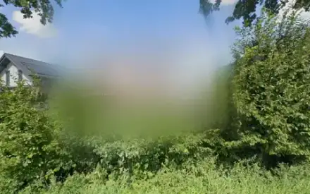 Foto von Trauerredner, Beerdigungsredner Hamburg