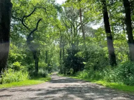 Foto von Trauerrednerin Maren Stanka aus Münster