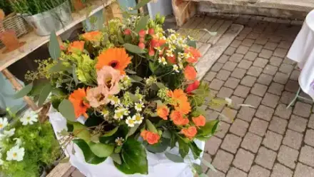 Foto von Vergißmeinnicht Kerstin Kummer