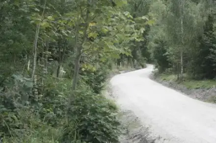 Foto von Wald & Naturfriedhof Saale-Orla