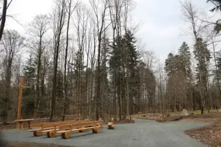 Foto von Wald- und Naturfriedhof Frankenwald | Heinersreuth