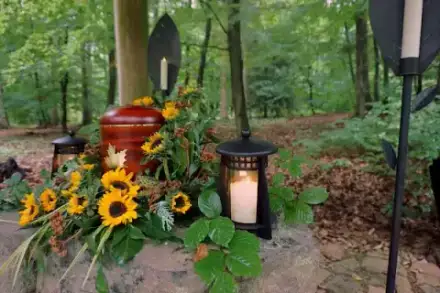 Foto von WALDBESTATTUNGEN Kassel