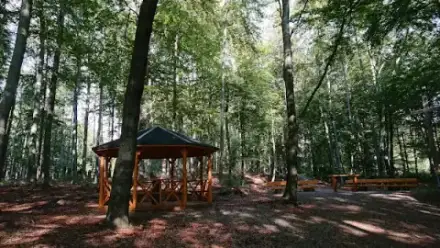 Foto von Waldfriedhof Erzgebirge