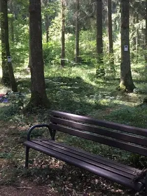 Foto von Waldfriedhof Gerolstein