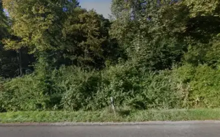 Foto von Waldfriedhof Mühlhausen