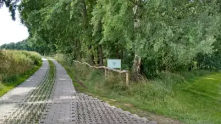 Foto von Waldfriedhof Schönburger Land