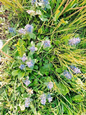 Foto von Waldfriedhof Schwäbisch Hall