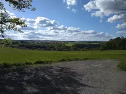 Foto von Waldfriedhof Trauberg Esselbach