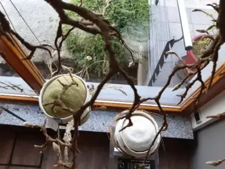 Foto von wegezumabschied Bestattungen Hanno Ramrath