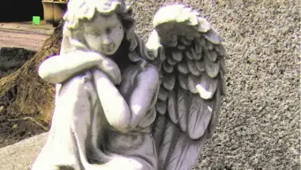 Foto von Werner Schöner Bestattungen