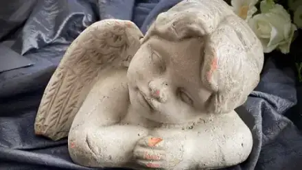 Foto von Willy Humburg & Sohn KG