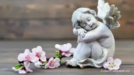 Foto von Zahn Bestattungen